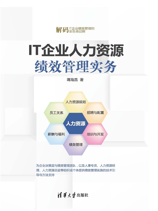 Cover image for IT企业人力资源绩效管理实务